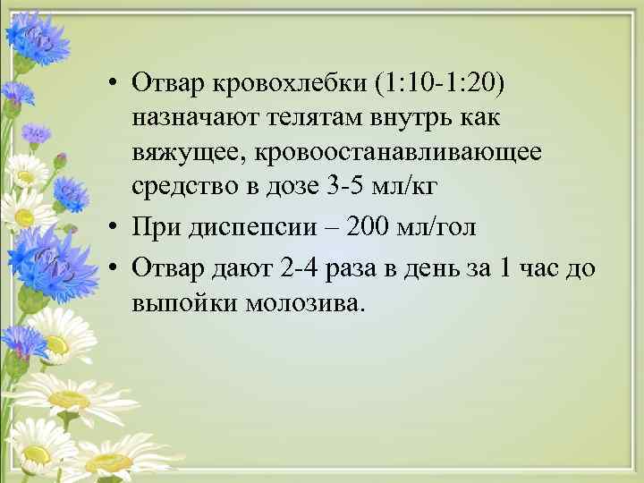  • Отвар кровохлебки (1: 10 -1: 20)  назначают телятам внутрь как 