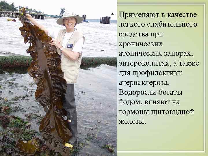  • Применяют в качестве  легкого слабительного  средства при  хронических 