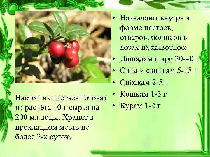       • Назначают внутрь в    