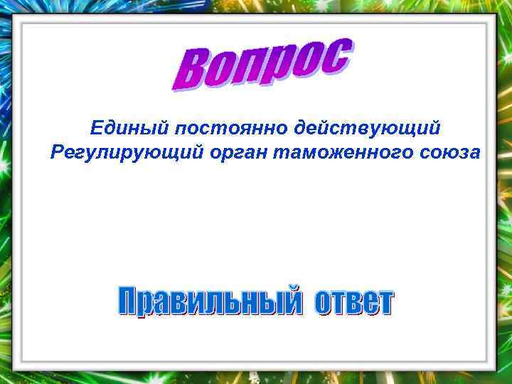   Единый постоянно действующий Регулирующий орган таможенного союза 
