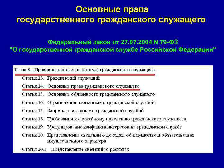 Общие федеральные законы. Основные права гоударств. Права государственного служащего. Права государственных гражданских служащих. Основные права гражданского служащего.