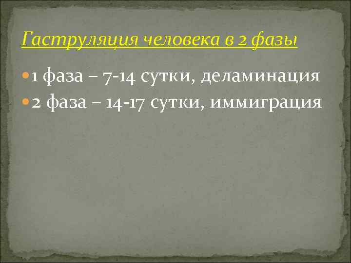 Гаструляция человека в 2 фазы  1 фаза – 7 -14 сутки, деламинация 