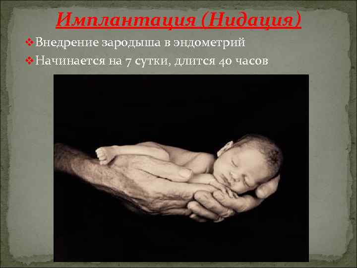  Имплантация (Нидация) v Внедрение зародыша в эндометрий v Начинается на 7 сутки, длится