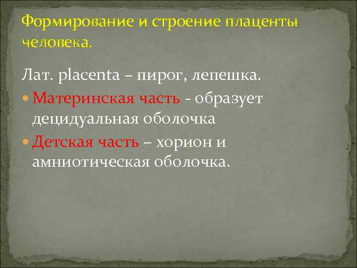 Формирование и строение плаценты человека. Лат. placenta – пирог, лепешка.  Материнская часть -