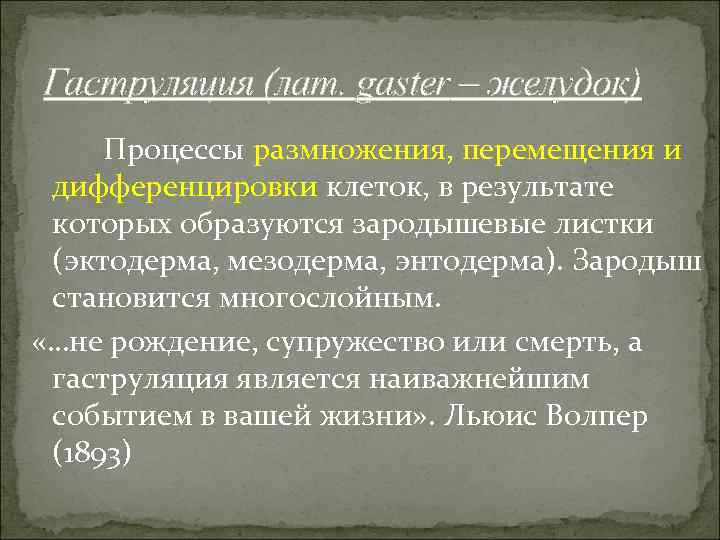 Гаструляция (лат. gaster – желудок) Процессы размножения, перемещения и дифференцировки клеток, в результате которых