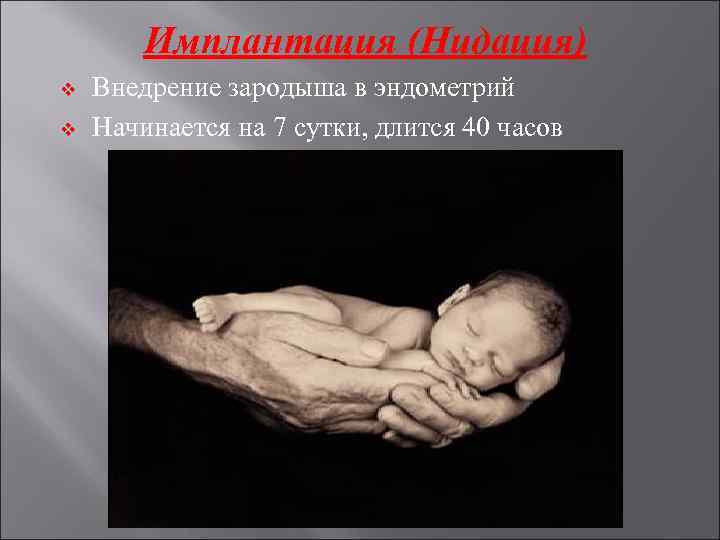   Имплантация (Нидация) v  Внедрение зародыша в эндометрий v  Начинается на