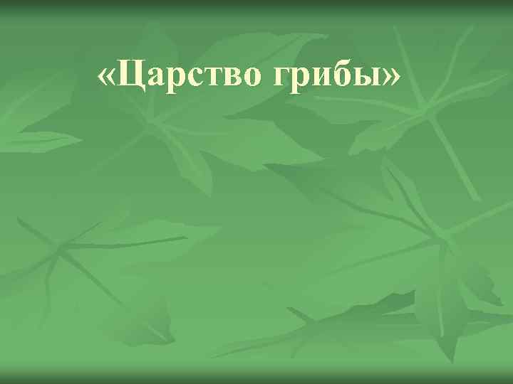  «Царство грибы» 