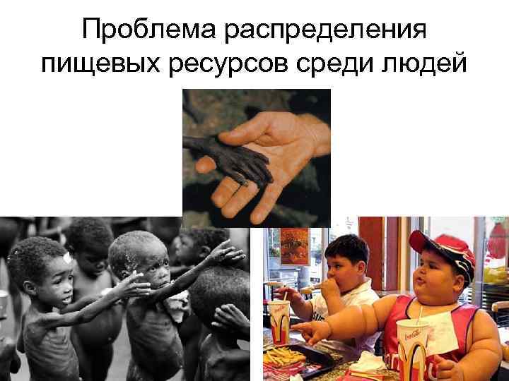  Проблема распределения пищевых ресурсов среди людей 