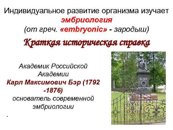 Индивидуальное развитие организма изучает    эмбриология (от греч.  «embryonic» - зародыш)