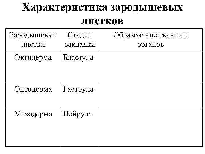  Характеристика зародышевых   листков Зародышевые Стадии Образование тканей и  листки 
