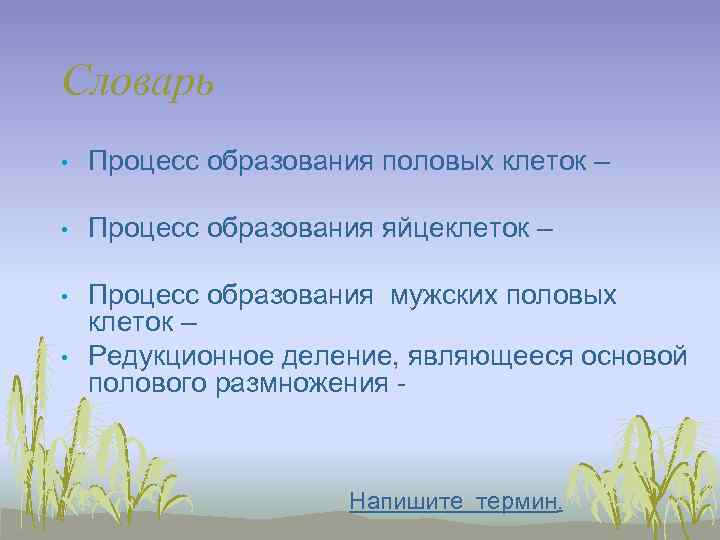 Словарь •  Процесс образования половых клеток –  •  Процесс образования яйцеклеток