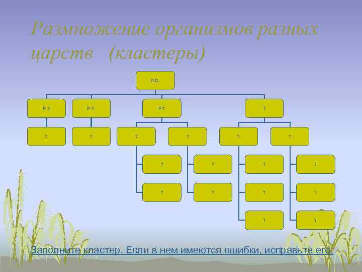 Размножение организмов разных царств (кластеры)     Р. О.  Р. ?