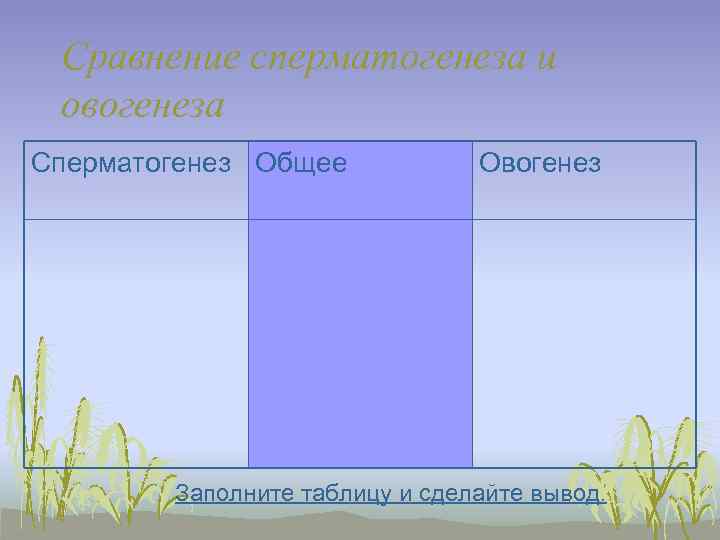  Сравнение сперматогенеза и овогенеза Сперматогенез Общее   Овогенез   Заполните таблицу