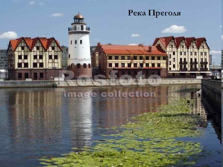 Река Преголя 