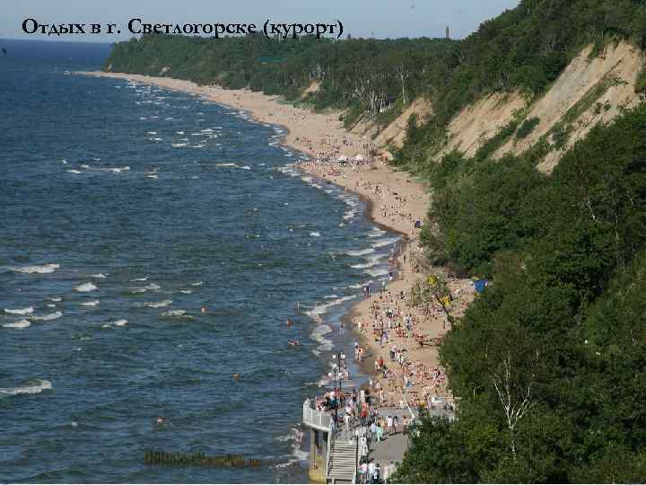 Отдых в г. Светлогорске (курорт) 