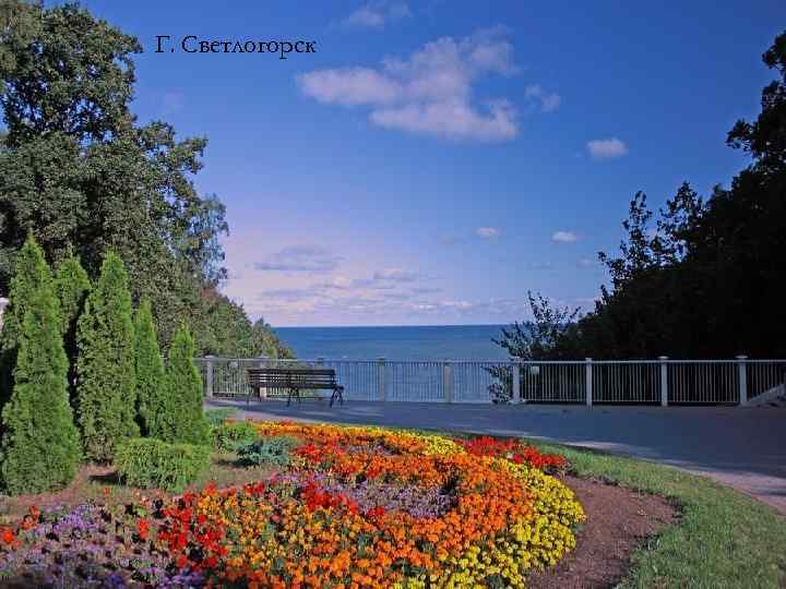 Г. Светлогорск 