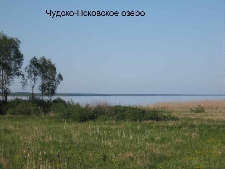 Чудско-Псковское озеро 