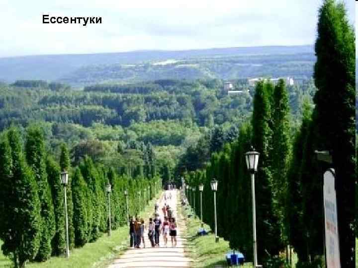 Ессентуки 