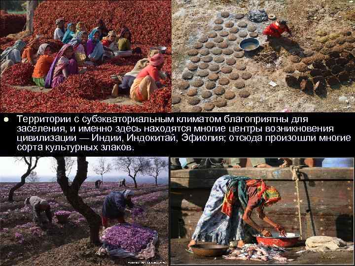 l  Территории с субэкваториальным климатом благоприятны для заселения, и именно здесь находятся многие