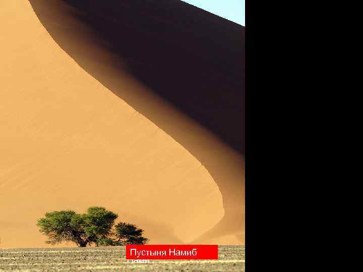 Пустыня Намиб Нами 