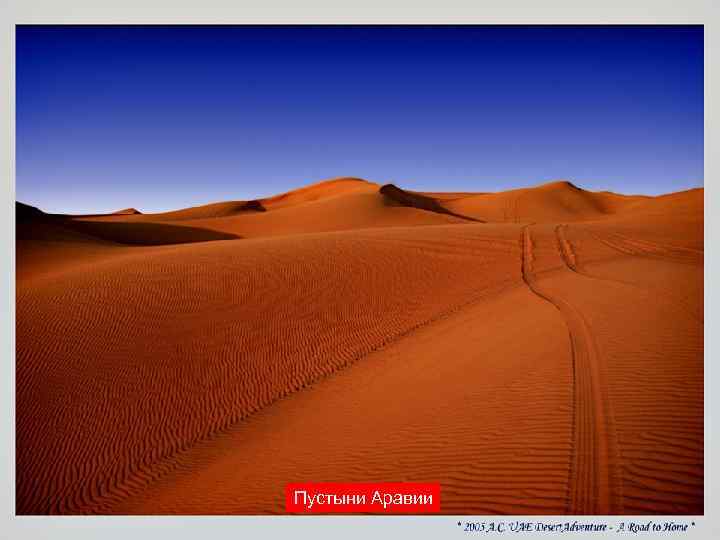 Пустыни Аравии 