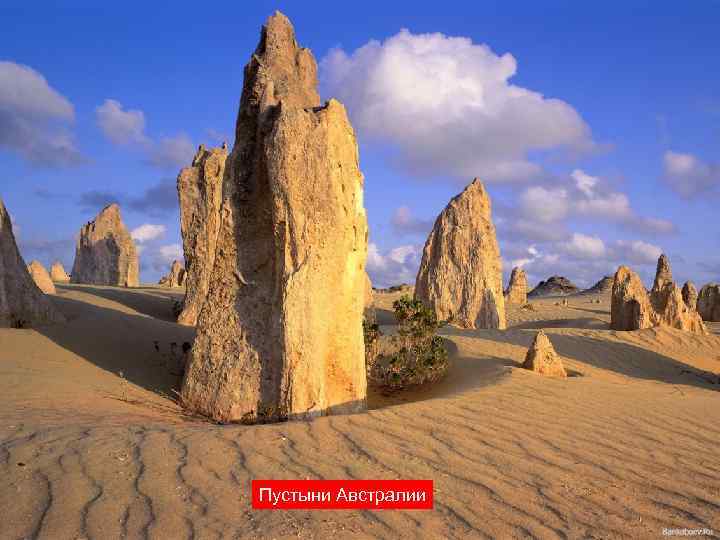 Пустыни Австралии 