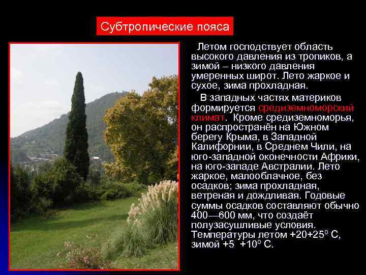 Субтропические пояса    Летом господствует область   высокого давления из тропиков,