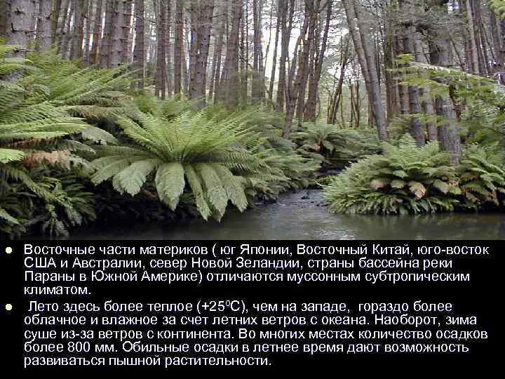 l  Восточные части материков ( юг Японии, Восточный Китай, юго восток США и