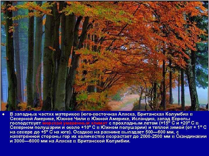 l  В западных частях материков (юго-восточная Аляска, Британская Колумбия в Северной Америке, Южное