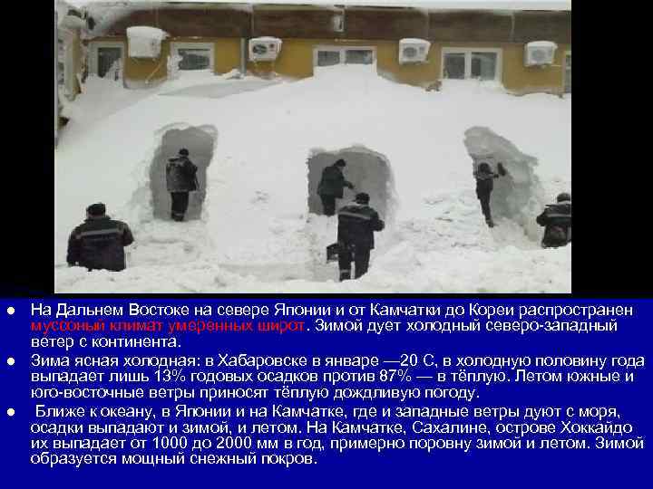 l  На Дальнем Востоке на севере Японии и от Камчатки до Кореи распространен