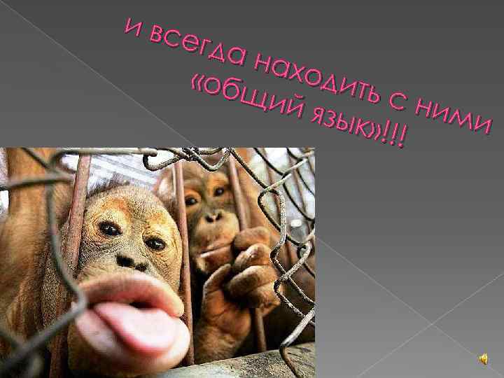 и вс егда  нахо  «общ дить  ий я  с ни