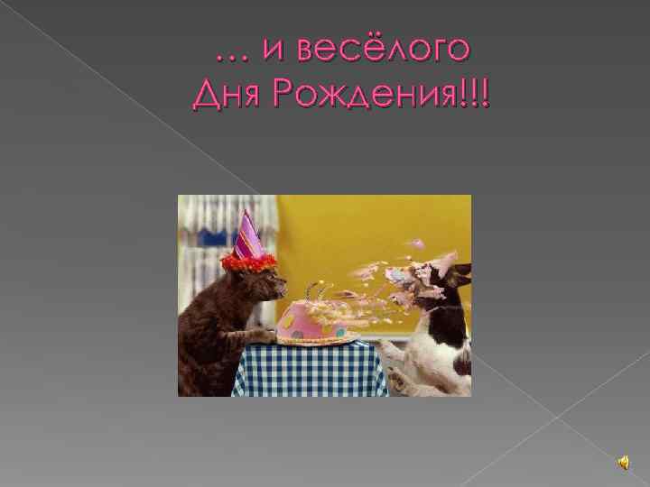  … и весёлого Дня Рождения!!! 