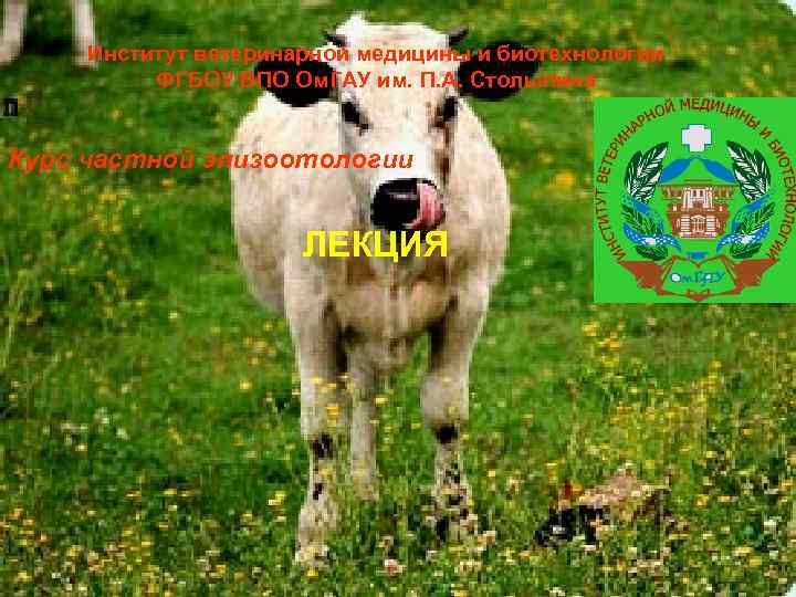  Институт ветеринарной медицины и биотехнологии  ФГБОУ ВПО Ом. ГАУ им. П. А.