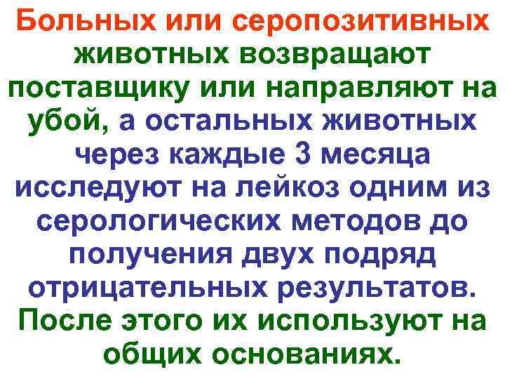 Больных или серопозитивных животных возвращают поставщику или направляют на убой, а остальных животных через