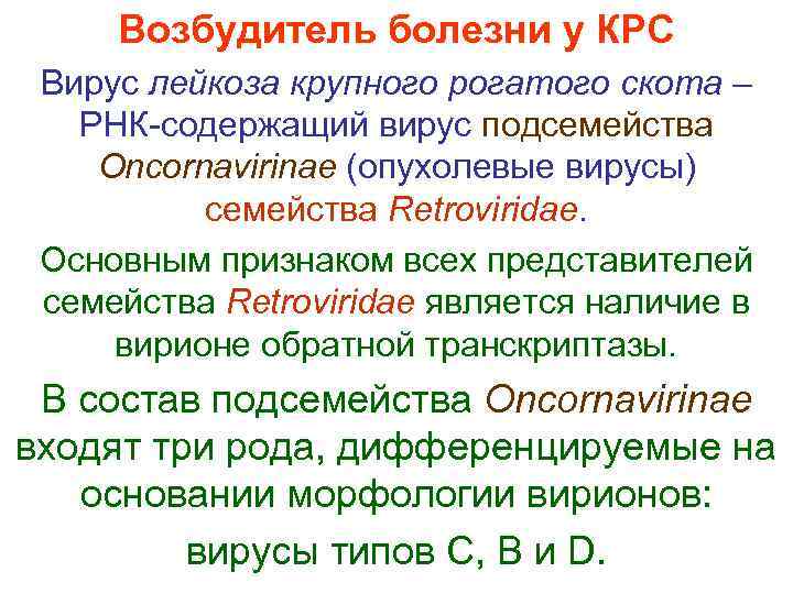  Возбудитель болезни у КРС Вирус лейкоза крупного рогатого скота – РНК-содержащий вирус подсемейства