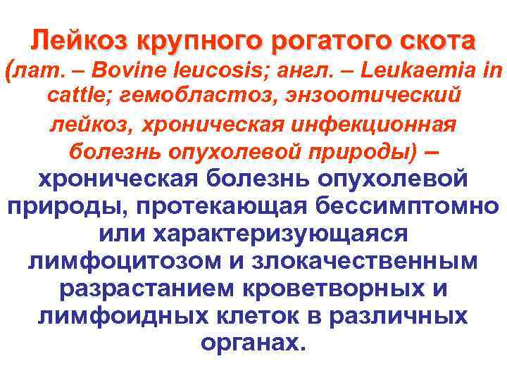  Лейкоз крупного рогатого скота (лат. – Bovine leucosis; англ. – Leukaemia in 