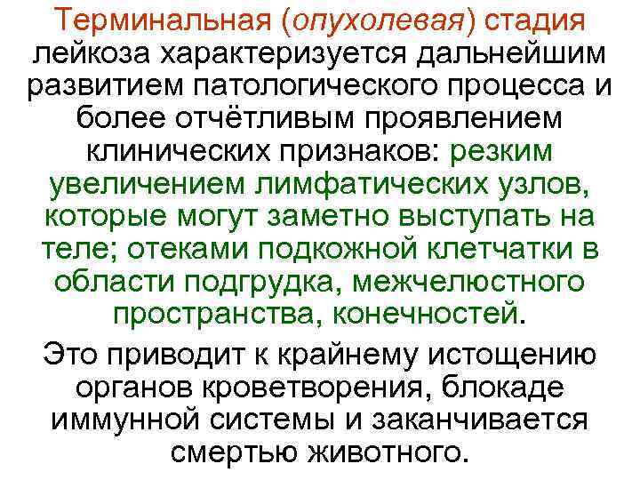  Терминальная (опухолевая) стадия лейкоза характеризуется дальнейшим развитием патологического процесса и более отчётливым проявлением
