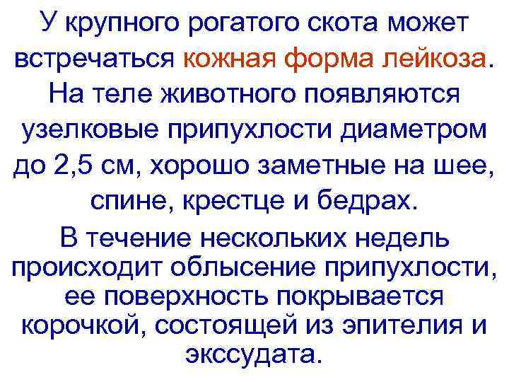  У крупного рогатого скота может встречаться кожная форма лейкоза. На теле животного появляются
