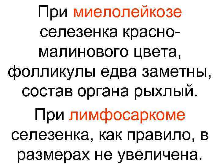   При миелолейкозе селезенка красно- малинового цвета,  фолликулы едва заметны, состав органа