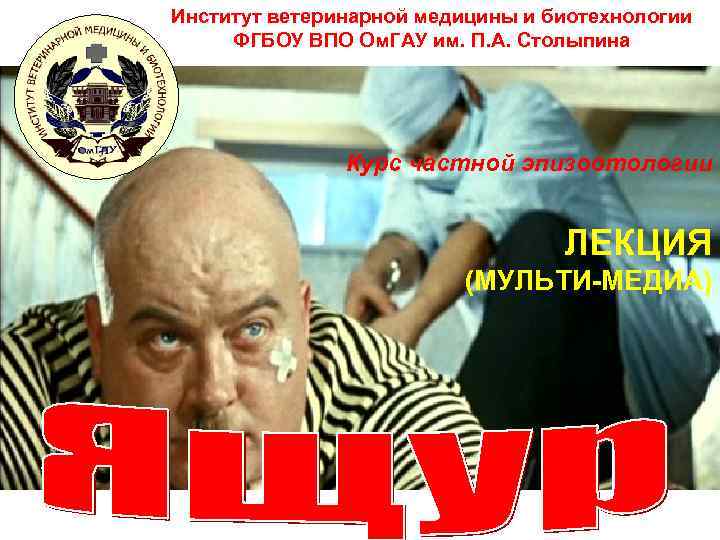 Институт ветеринарной медицины и биотехнологии ФГБОУ ВПО Ом. ГАУ им. П. А. Столыпина 