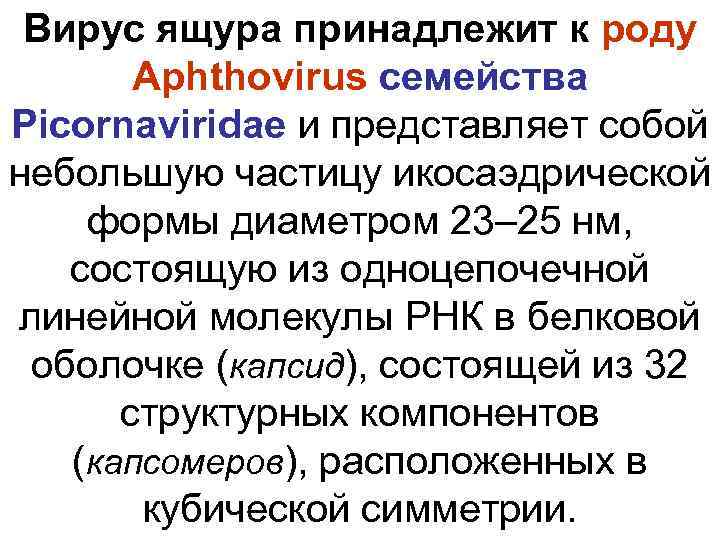  Вирус ящура принадлежит к роду  Aphthovirus семейства Picornaviridae и представляет собой небольшую