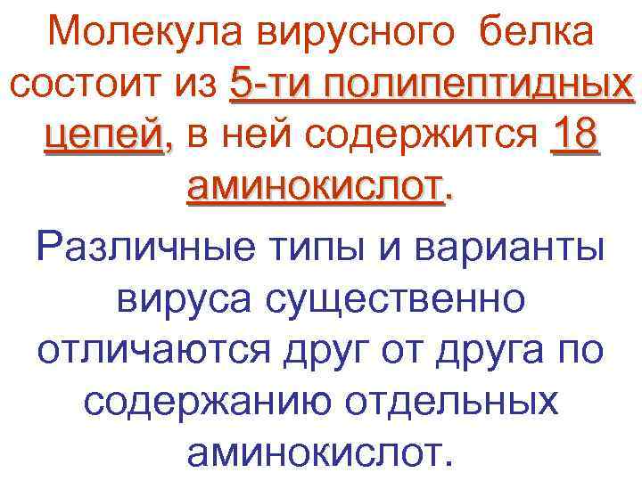  Молекула вирусного белка  состоит из 5 -ти полипептидных  цепей, в ней