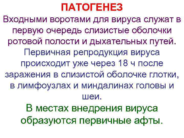   ПАТОГЕНЕЗ Входными воротами для вируса служат в  первую очередь слизистые оболочки