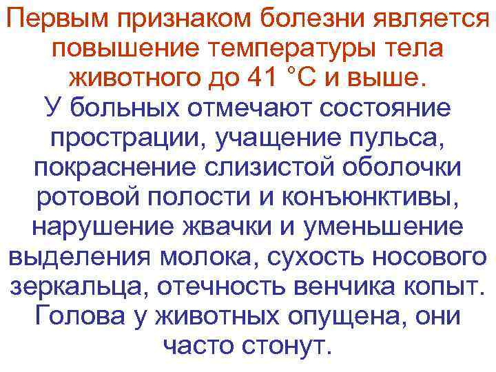 Первым признаком болезни является повышение температуры тела  животного до 41 °С и выше.