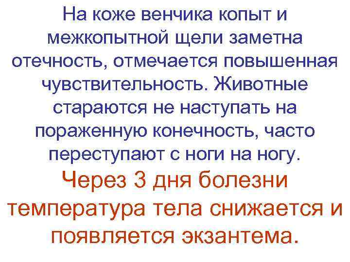  На коже венчика копыт и межкопытной щели заметна отечность, отмечается повышенная чувствительность. Животные