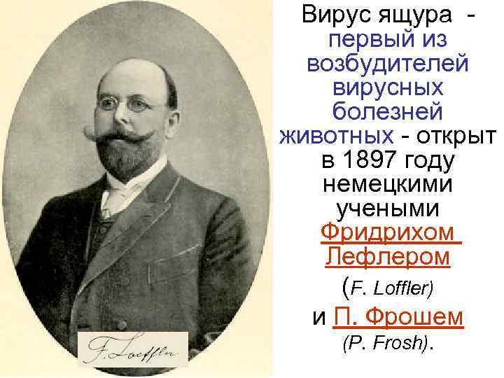  Вирус ящура -  первый из  возбудителей вирусных болезней животных - открыт