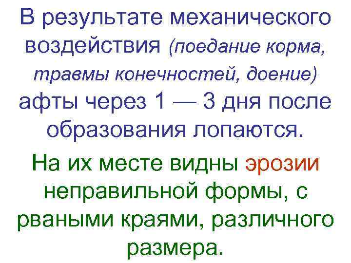 В результате механического  воздействия (поедание корма,  травмы конечностей, доение) афты через 1