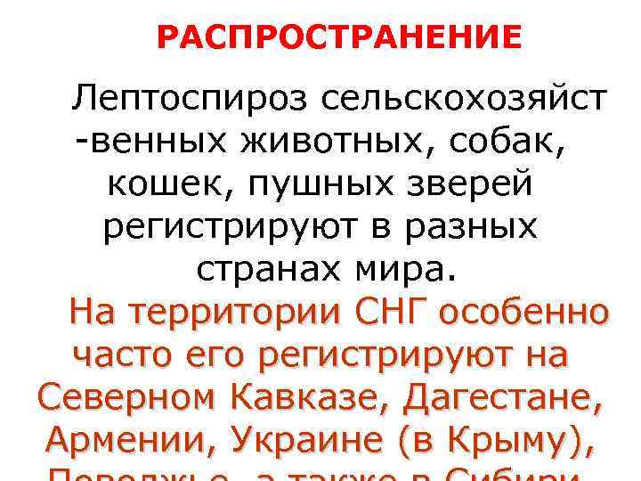  РАСПРОСТРАНЕНИЕ Лептоспироз сельскохозяйст  -венных животных, собак, кошек, пушных зверей регистрируют в разных