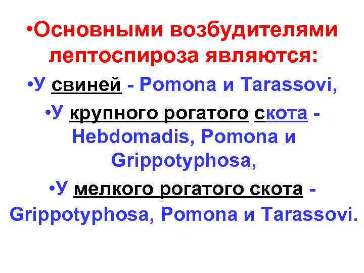  • Основными возбудителями  лептоспироза являются:  • У свиней - Pomona и