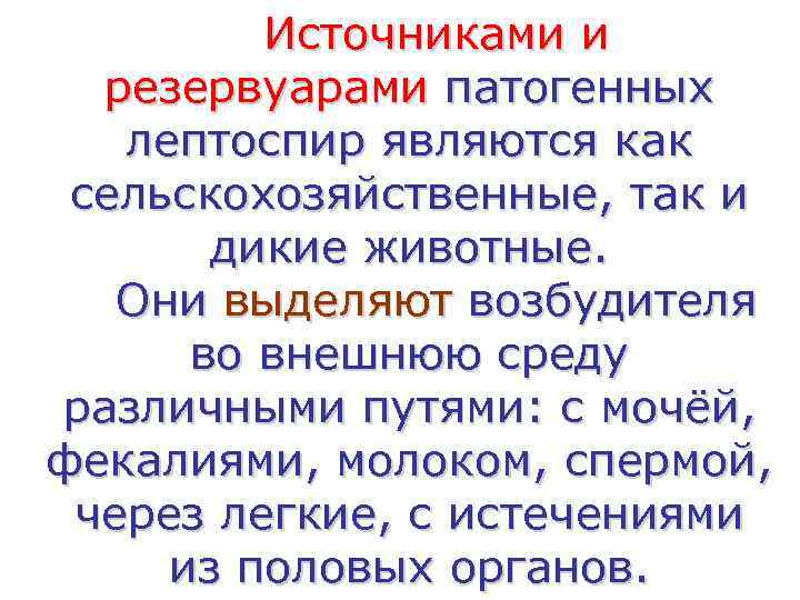    Источниками и  резервуарами патогенных  лептоспир являются как сельскохозяйственные, так